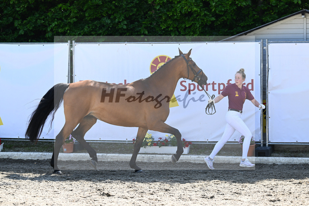 Kat-Nr. 15 HF Caruso Z_Diez_12230412 | hf-fotografie - Realizzato con Pictrs.com