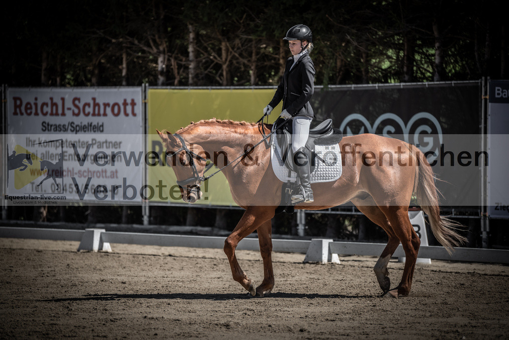 DSC_0086 | equestrian-live-com