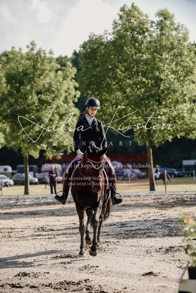 DSC_7815 | Pferde- und Turnierfotografie in Westsachsen. Pferdeportraits, Auftragszeichnungen und intuitive Kunst.