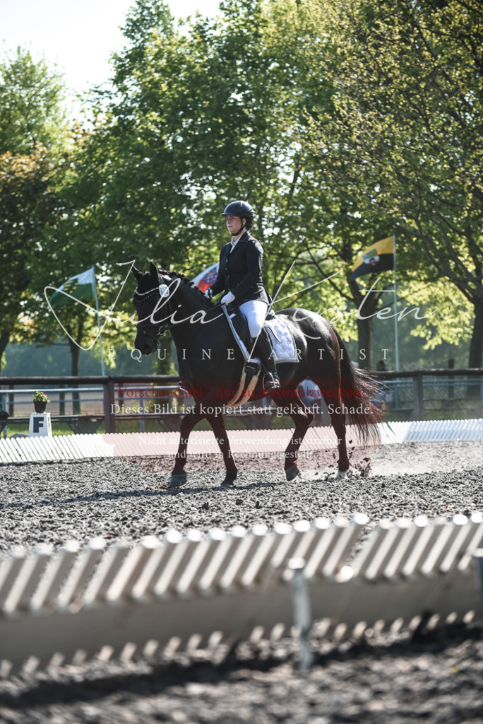 DSC_8600 | Pferde- und Turnierfotografie in Westsachsen. Pferdeportraits, Auftragszeichnungen und intuitive Kunst.