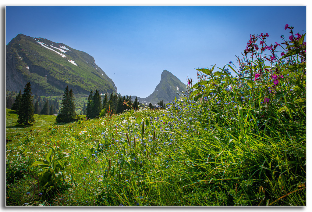 Die Churfirsten im Fokus | Holzisphotography, Landschaftsfotografie, Wildlifefotogorafie - Realisiert mit Pictrs.com