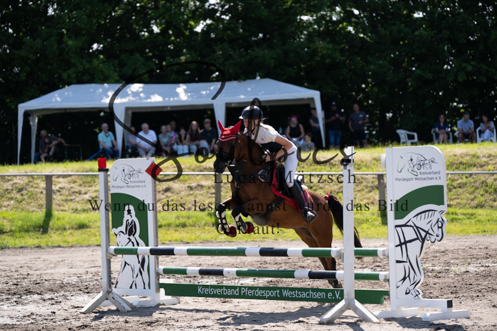 A7V03443 | Pferdefotograf