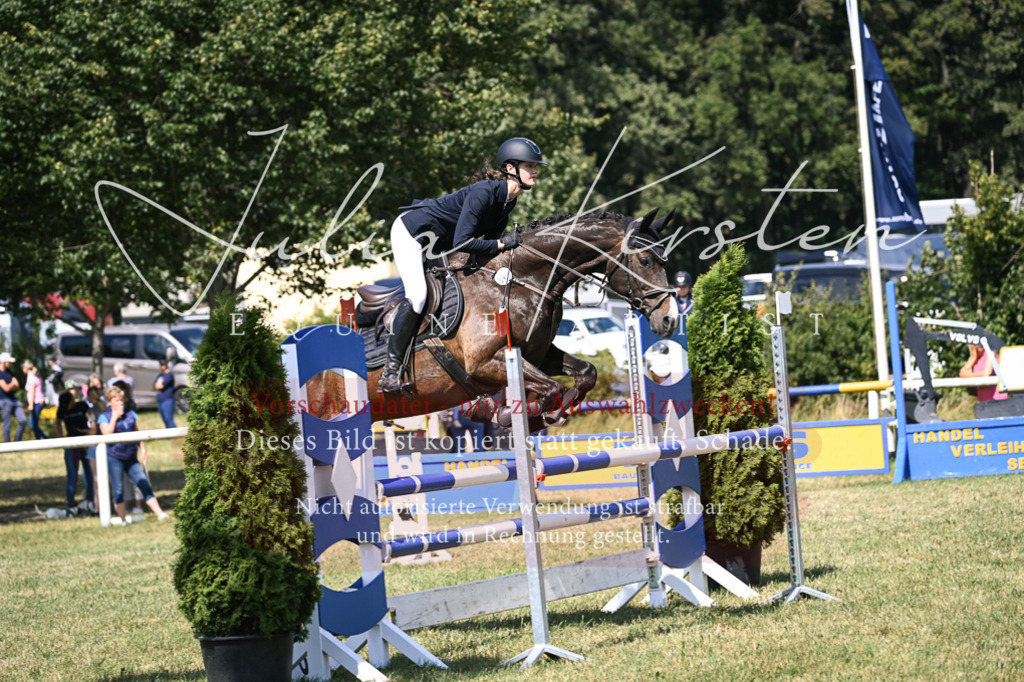 DSC_0453 | Pferde- und Turnierfotografie in Westsachsen. Pferdeportraits, Auftragszeichnungen und intuitive Kunst.