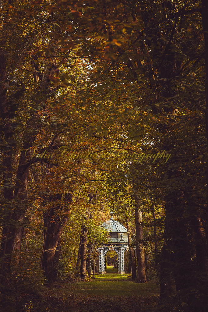 P 121 | Christian Vulin  - Realisiert mit Pictrs.com