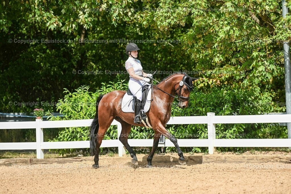 20230715_02_Dressurreiterprüfung Kl.L_0194 | equistock