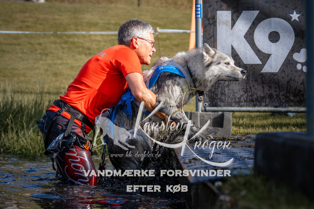 _ZZ960710731 | kk-dogfotos