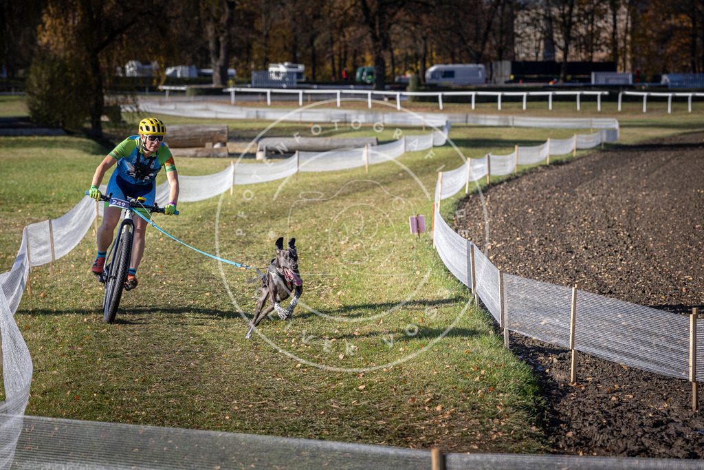CaniXpix_DV3A4505 | Hundefotografie, Tierfotograf, Pfotenfotografie, Fotoshooting Hund, Hunde Portrait, Hundesport, Hundeportraits, Heideshooting, Hunde, Sportfotograf, Hundefotograf, Turnierhundsport, THS,  - Realisiert mit Pictrs.com