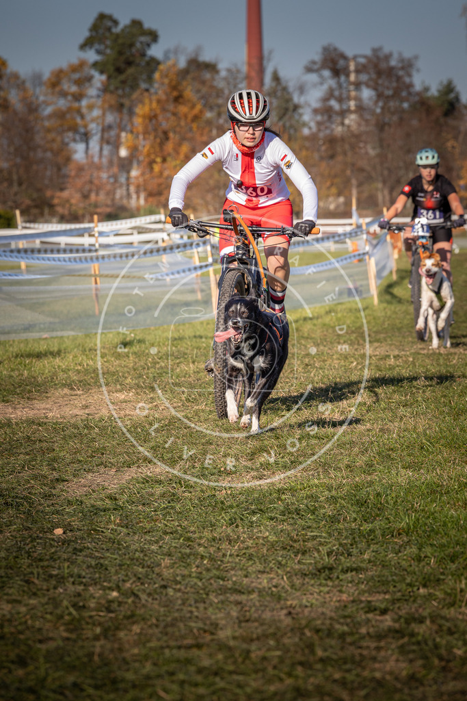 CaniXpix_0L8A6208 | Hundefotografie, Tierfotograf, Pfotenfotografie, Fotoshooting Hund, Hunde Portrait, Hundesport, Hundeportraits, Heideshooting, Hunde, Sportfotograf, Hundefotograf, Turnierhundsport, THS,  - Realisiert mit Pictrs.com