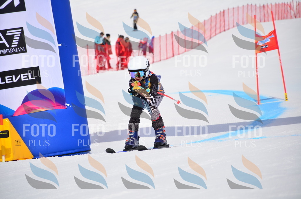 VR4_7480 | holidayphoto