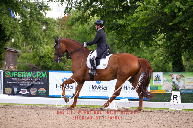 DKP41606 | Deine Turnierfotos vom Reitturnier online kaufen: Dressur, Springen & Siegerehrung. Professionelle Pferdefotografie aus dem Rheinland – als Download & Print.Alternative: Turnierfotograf für den Pferdesport: Finde deine Fotos von Dressur- und Springturnier