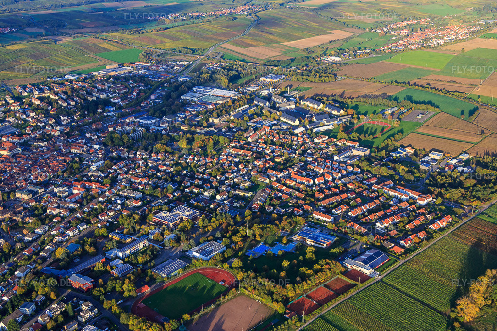 Luftbild: Im Kappenacker in Bad Bergzabern im Bundesland Rheinland-Pfalz in Deutschland. Foto: IMG_074660.jpg vom 14.10.2014 durch Werner Riehm/FLY-FOTO.de
