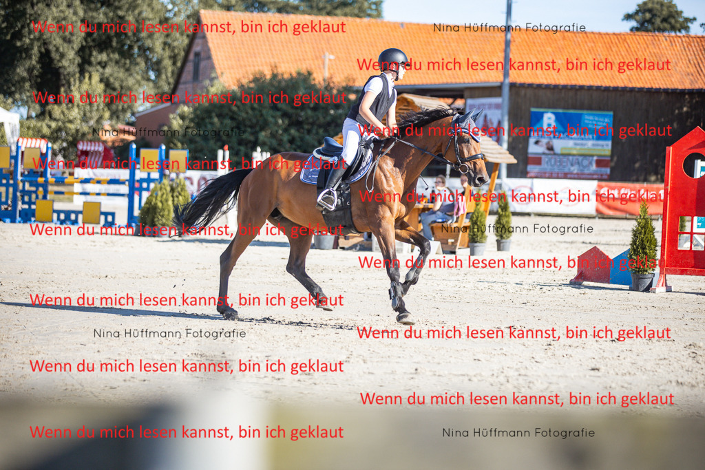 BK1A7387 | Turnierbilder Turnierfotos Nina Hüffmann Turnierfotografie Pferdefotografie Tierzeichnung Haustierzeichnung Pferdezeichnung Hundezeichnung Videograf  - Realisiert mit Pictrs.com