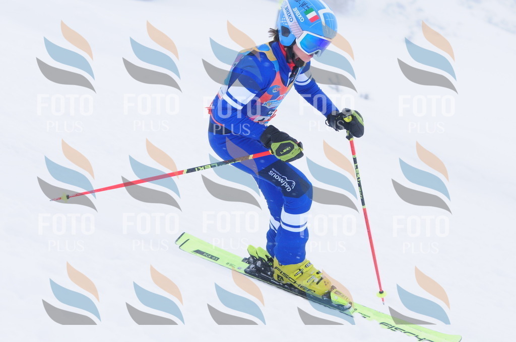 C2159 | holidayphoto