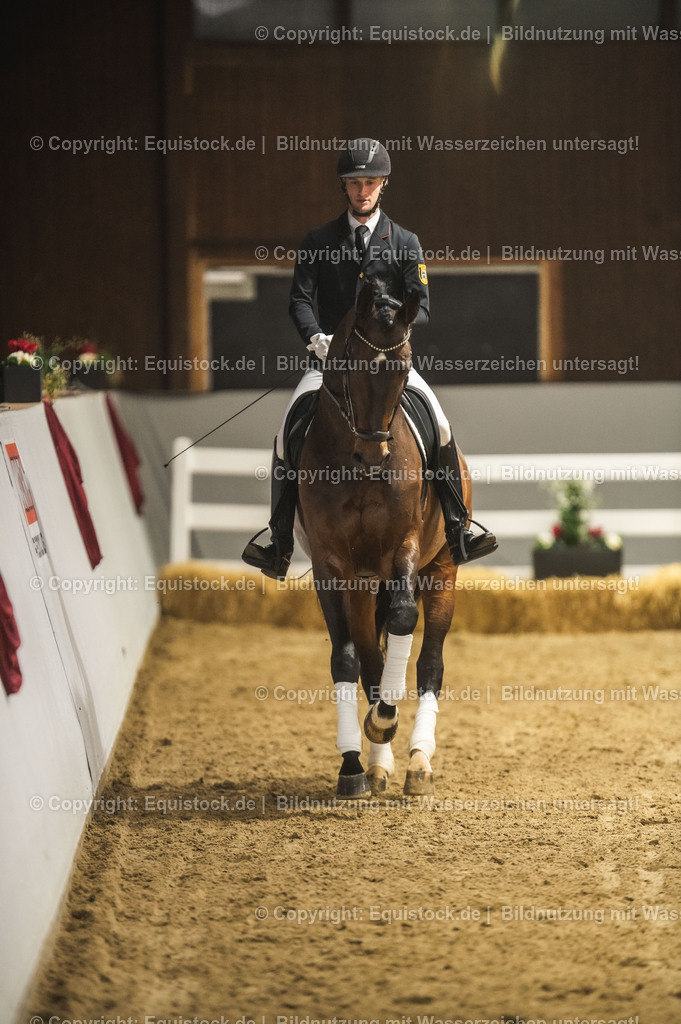 20240302_Hengstvorstellung_Marbach_TOMsPiC_1221 | equistock
