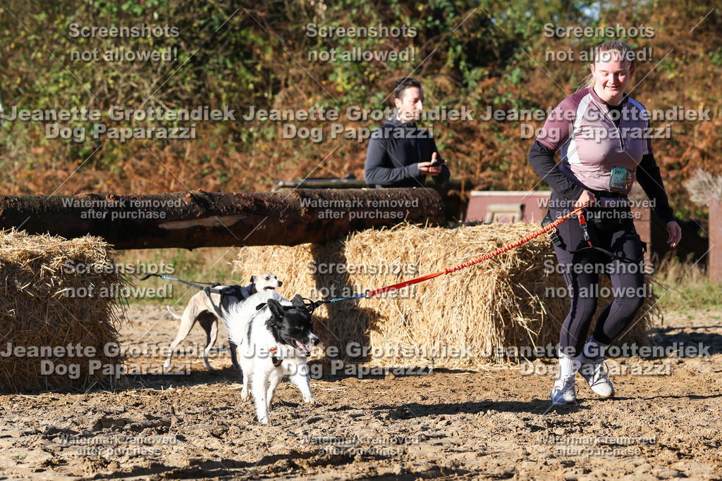 Dog Paparazzi - Strongdog 10-25-1496 | Dog Paparazzi Jeanette Grottendiek Fotografie & Videografie - Realisiert mit Pictrs.com