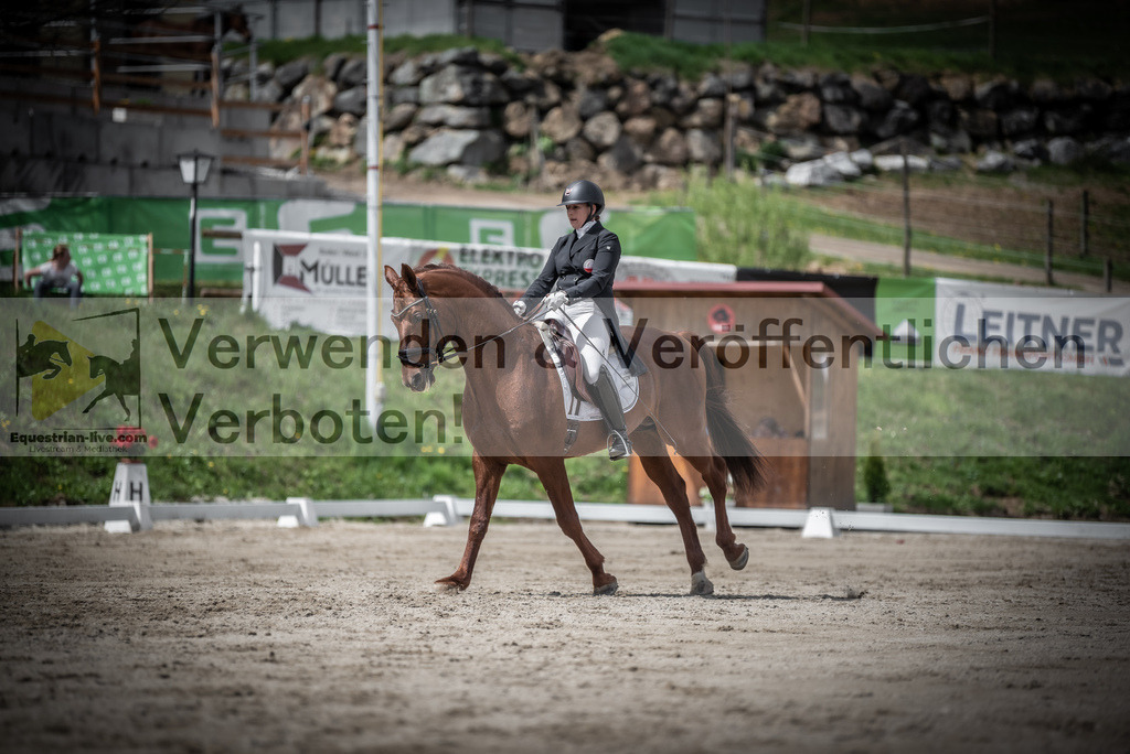 DSC_2626 | equestrian-live-com