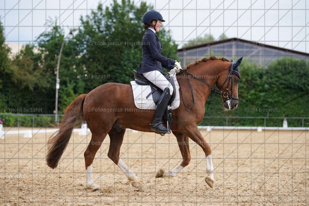 20240825-FAH00256 | Turnierbilder, Reitsportfotos, LAPO, Landesponyturnier, Turnierfotografen Bayern