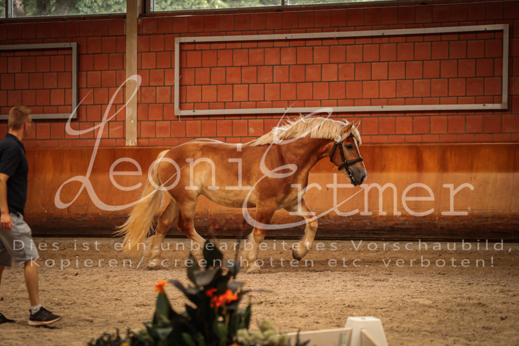 SaFL00247 | Leoni Ertmer Photography - Realisiert mit Pictrs.com