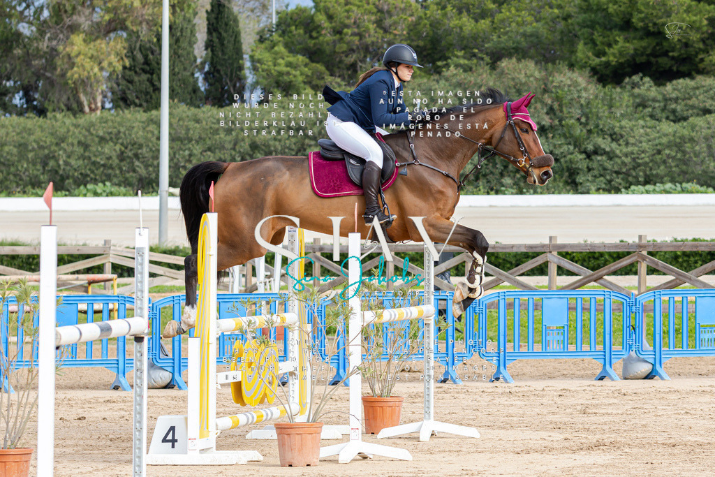 IMG_2613 | s-jay-photography - Realisiert mit Pictrs.com