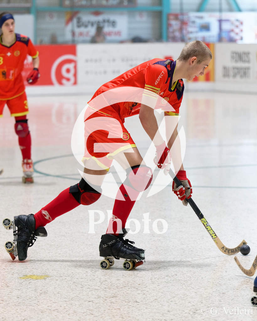 DSC_2469 | Velletri Photo