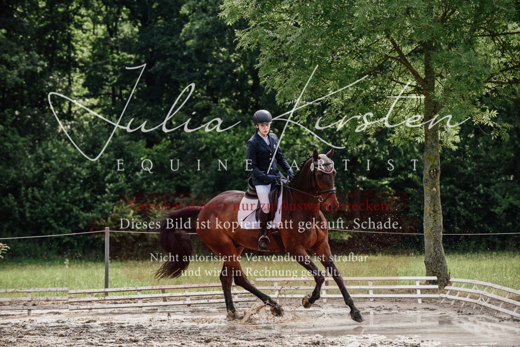 DSC_9633 | Pferde- und Turnierfotografie in Westsachsen. Pferdeportraits, Auftragszeichnungen und intuitive Kunst.