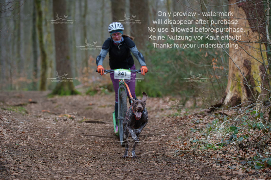 Scooter_So-67 | stephaniefillaphotographie - Realisiert mit Pictrs.com