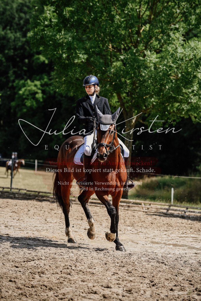 DSC_1120 | Pferde- und Turnierfotografie in Westsachsen. Pferdeportraits, Auftragszeichnungen und intuitive Kunst.