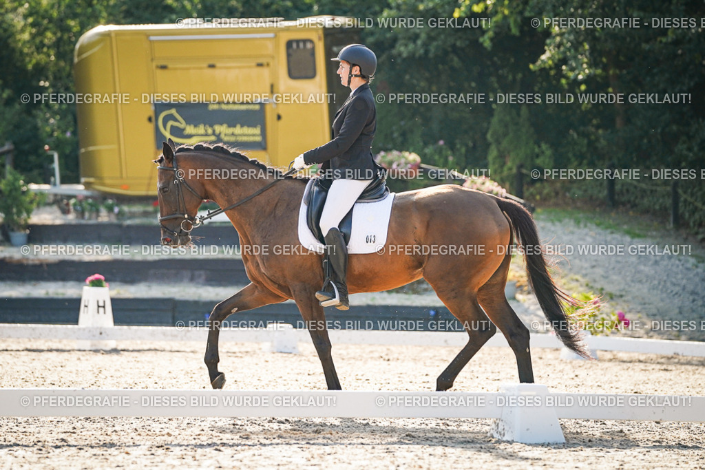 DSC08329 | Pferdegrafie