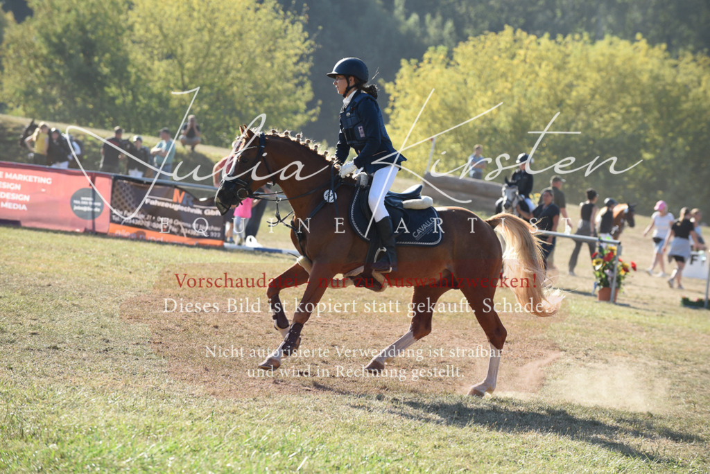 DSC_5647 | Pferde- und Turnierfotografie in Westsachsen. Pferdeportraits, Auftragszeichnungen und intuitive Kunst.