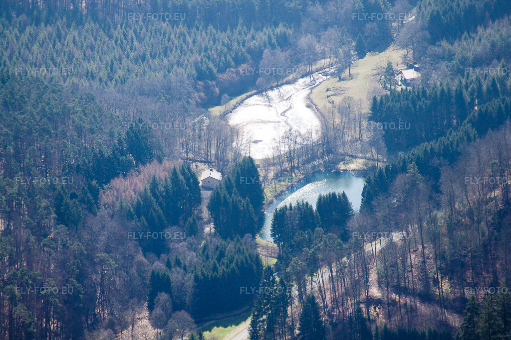 Vue aérienne: Étang à poissons à Neubach à Bitche dans le département Moselle, France – .Photo: IMG_38463.jpg prise le 20/03/2011 par Werner Riehm/FLY-FOTO.eu – Résolution de l'original: 4752 x 3168 px