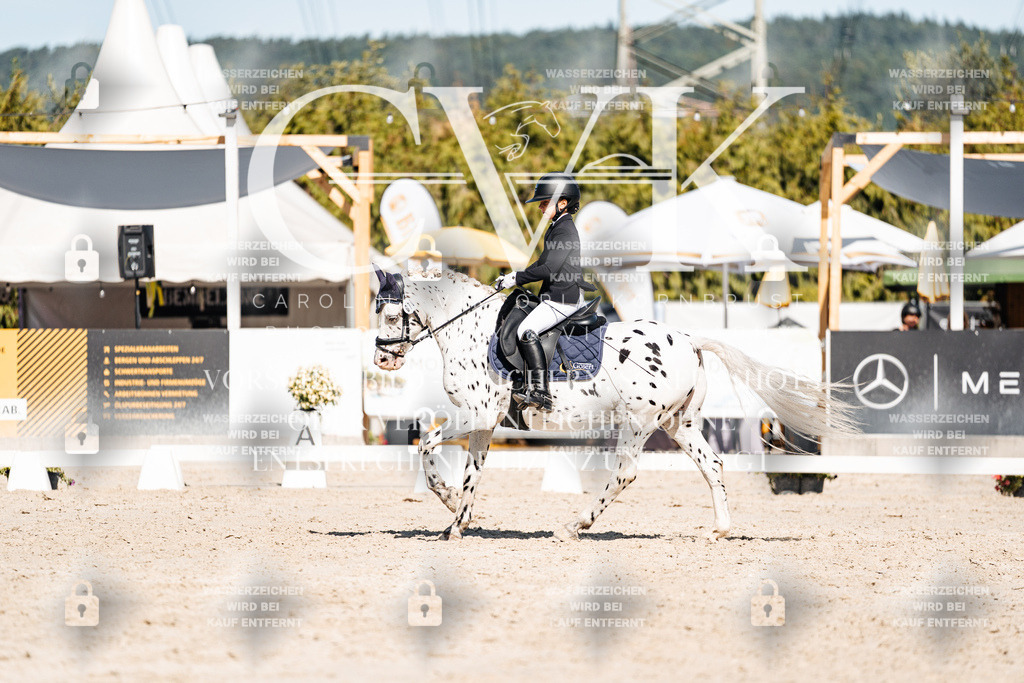 CK908561 | Turnierfotografie Pferdefotografie Trier Rheinland-Pfalz Pferdesport Reitsport Tierfotografie Sportfotografie Pferdevideo Pferdevideografie Equestrianvideography equestrianphotography  - Realisiert mit Pictrs.com