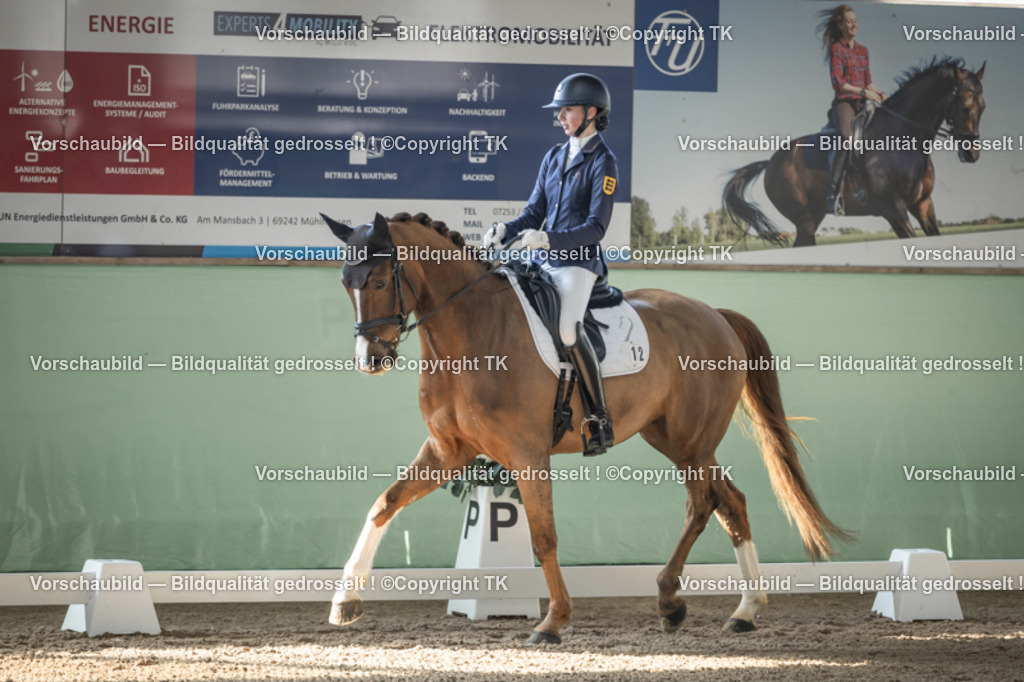 _D5A0593 | Emotionale Pferde- & People-Fotografie rund um Heidelberg, Leimen & Umgebung. Natürliche Fotos von Pferd, Mensch & Familie. Jetzt Termin sichern!