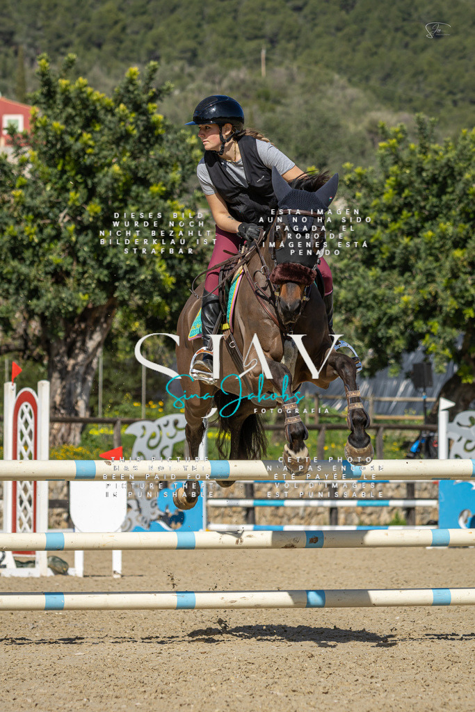 IMG_6571 | s-jay-photography - Realisiert mit Pictrs.com