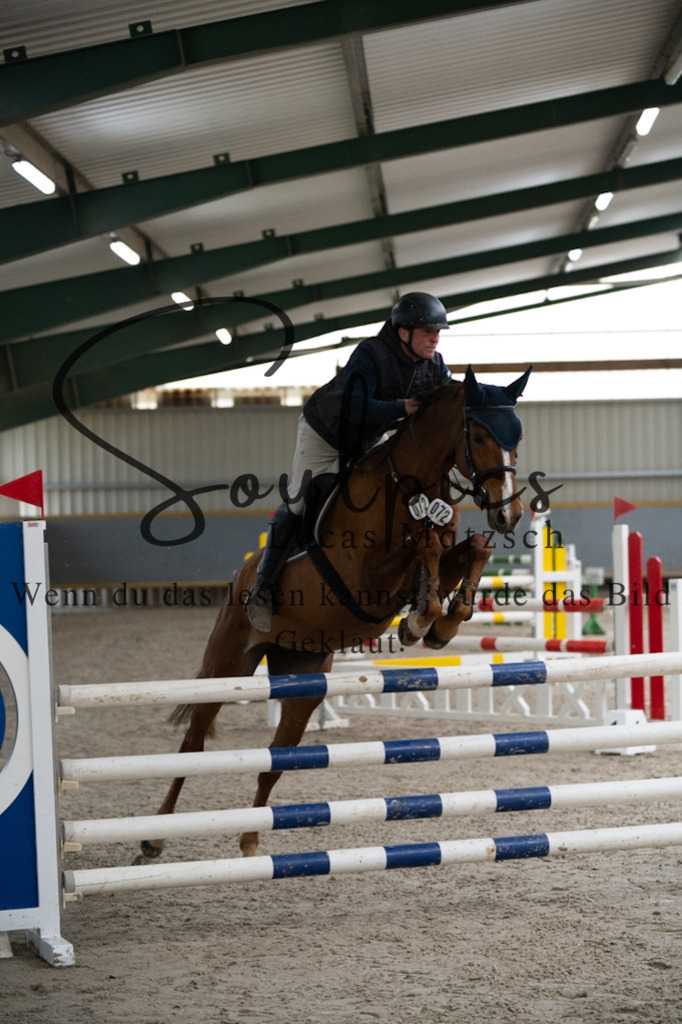 A7V08700 | Pferdefotograf