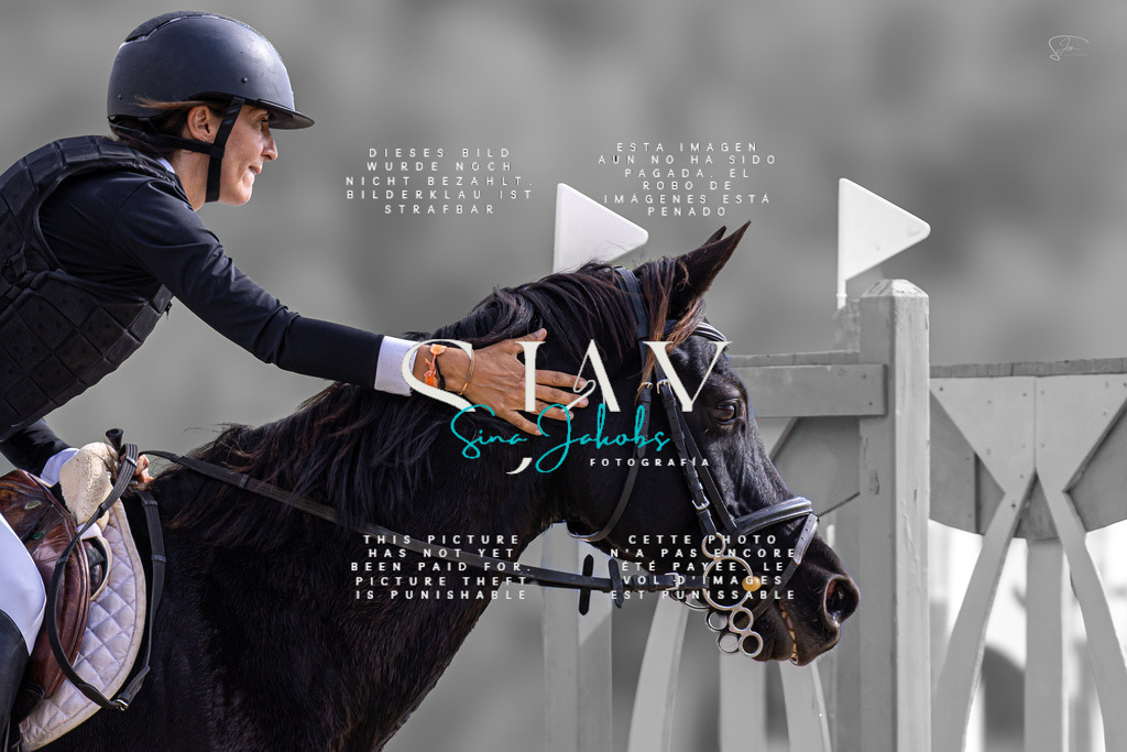 IMG_2536 | s-jay-photography - Realisiert mit Pictrs.com