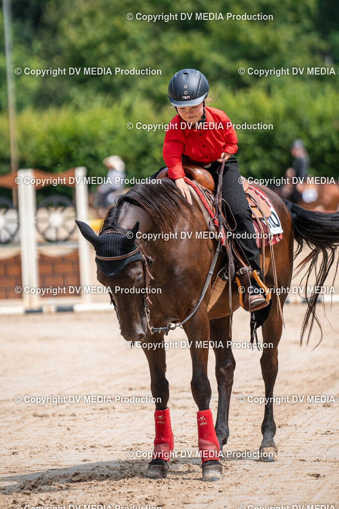 Zeiskam Tag 3-807 | dv-media-shop - Realisiert mit Pictrs.com