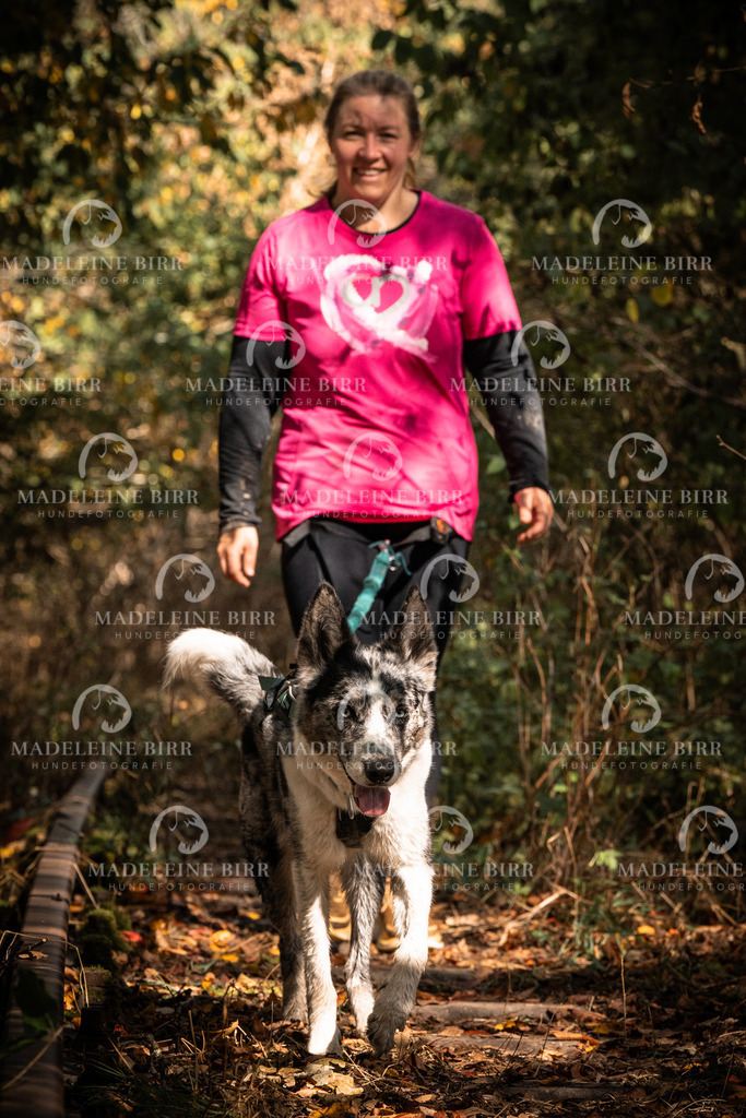 madeleinebirr.fotografie.2026.cc.hunsrueck.12-13Uhr.86 | hundefotografie-birr