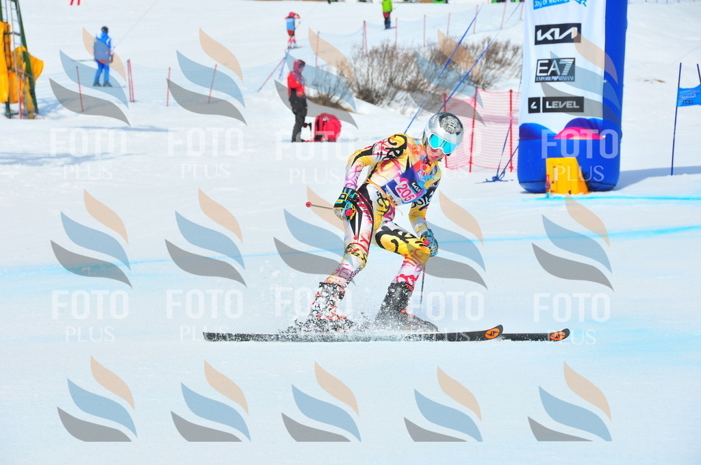 DSC_5614 | holidayphoto