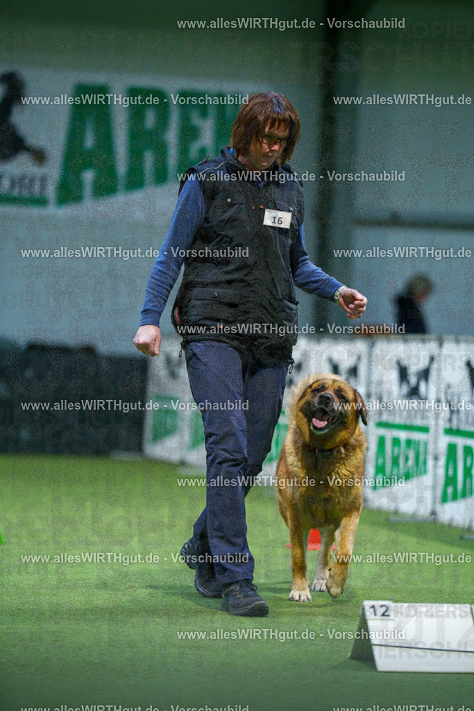 7R500653 | Professionelle Tierfotografie in Mönchengladbach von Daniel Wirth (allesWIRTHgut). Liebevolle & natürliche Bilder von Hunden & Katzen für unvergessliche Erinnerungen.