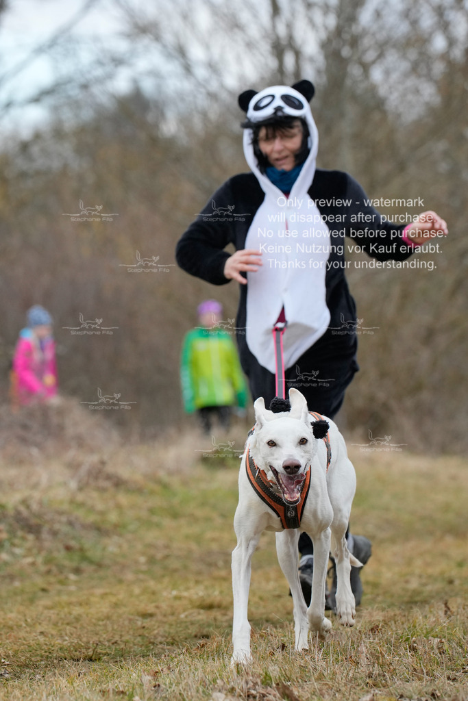 Fasching-71 | stephaniefillaphotographie - Realisiert mit Pictrs.com