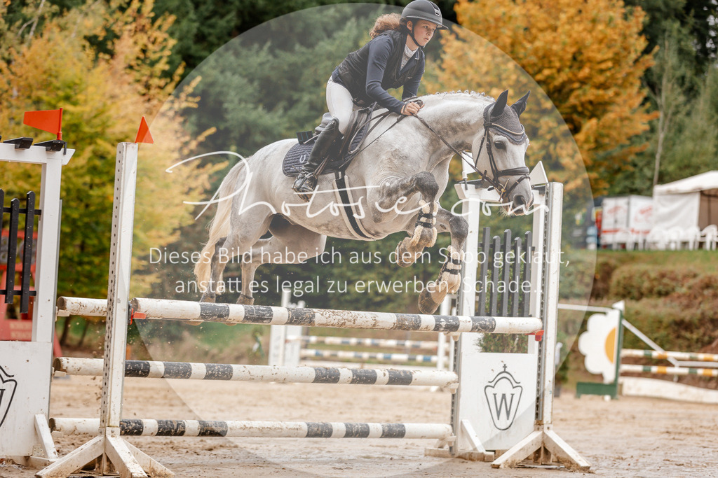 3I6A6811 | Stimmungsvolle Portraits und Reitsportfotografie im Ruhrgebiet und im Münsterland.

Pferdefotografie, Hundefotografie, Tierfotografie, Reportagen, Portraits von Tier und Mensch, Turnierfotografie in Bochum, Recklinghausen, Marl, Haltern am See, Dülmen.. - Realisiert mit Pictrs.com