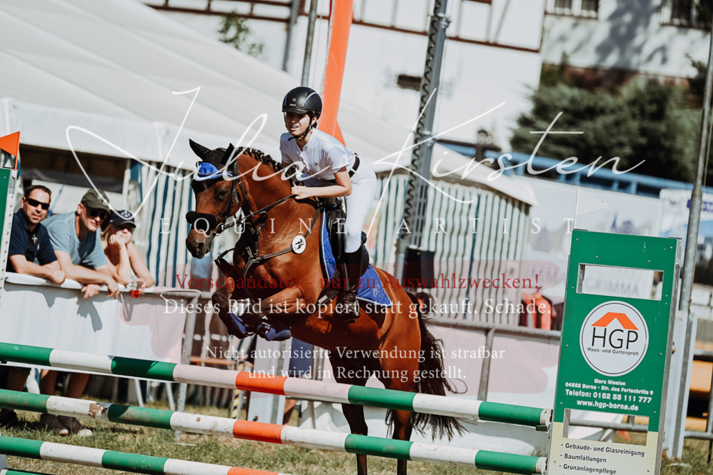DSC_9624 | Pferde- und Turnierfotografie in Westsachsen. Pferdeportraits, Auftragszeichnungen und intuitive Kunst.