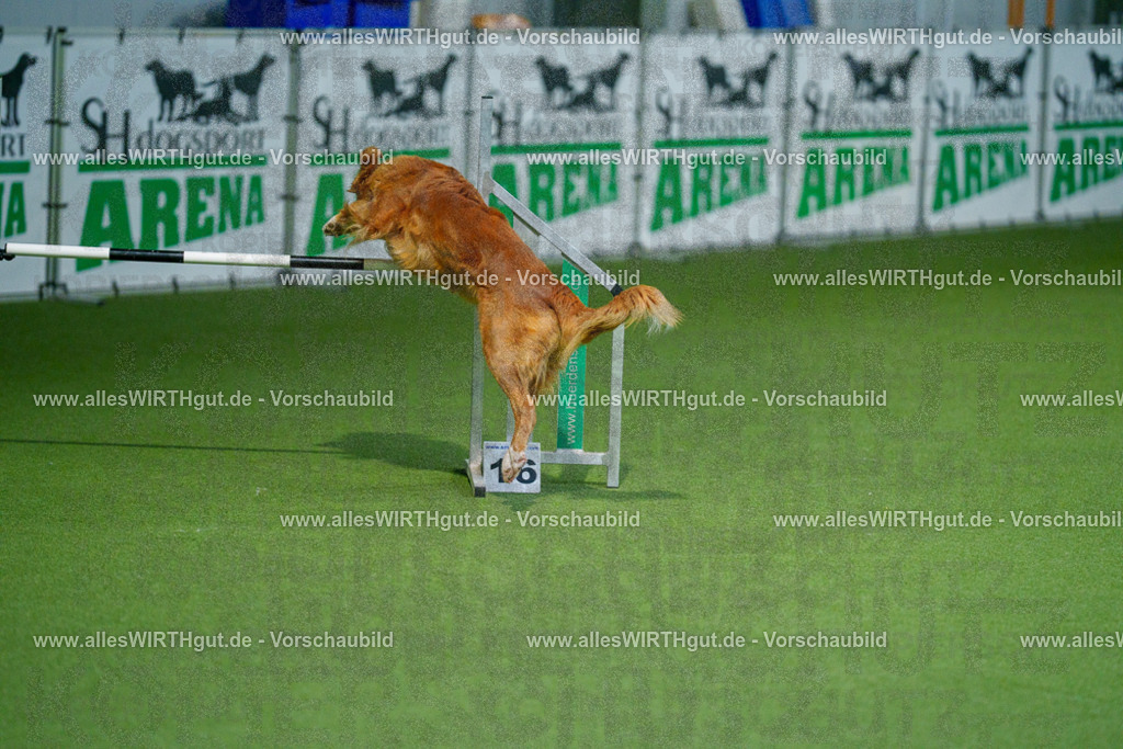 @allesWIRTHgut_Tierfotografie - www.allesWIRTHgut.de - 2604250825-7R506508 | Professionelle Tierfotografie in Mönchengladbach von Daniel Wirth (allesWIRTHgut). Liebevolle & natürliche Bilder von Hunden & Katzen für unvergessliche Erinnerungen.
