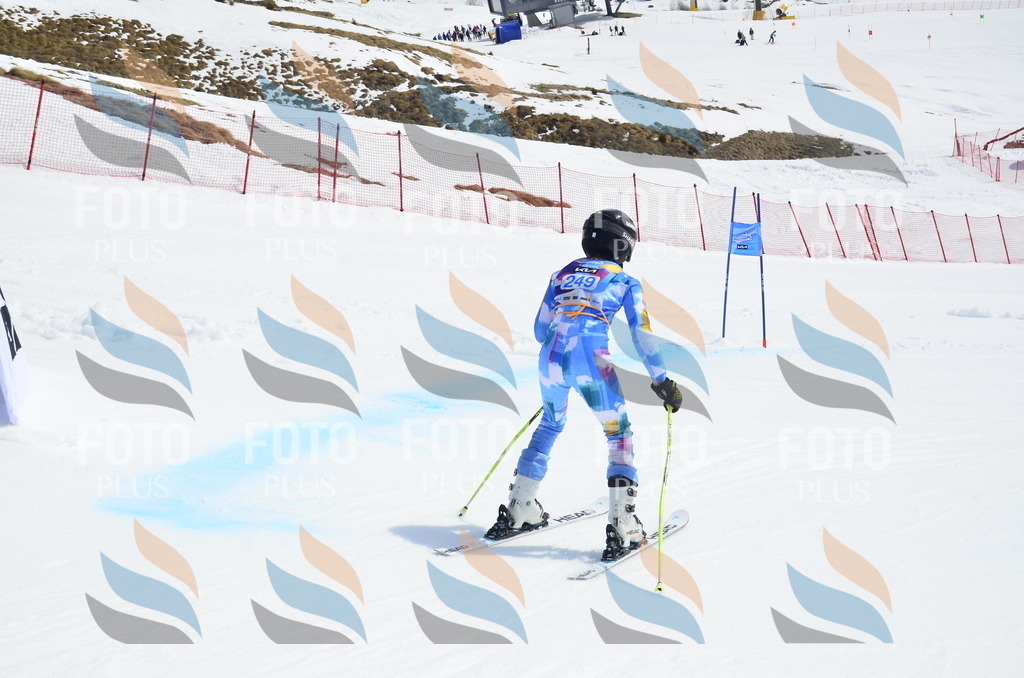 _ELE1822 | holidayphoto