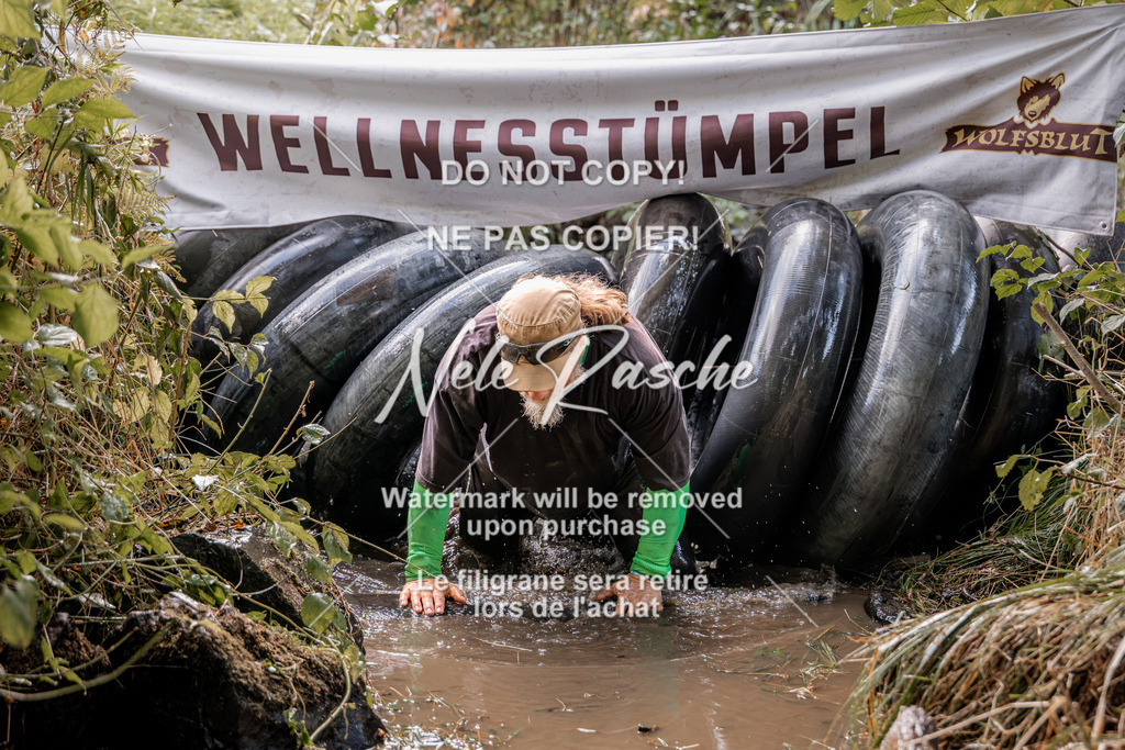 nelerasche_Hunsrück2026_Sa1400-1500_207 | nelerasche
