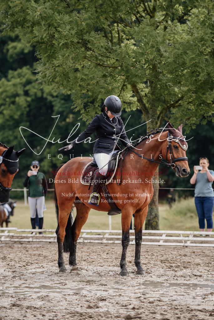 DSC_8452 | Pferde- und Turnierfotografie in Westsachsen. Pferdeportraits, Auftragszeichnungen und intuitive Kunst.