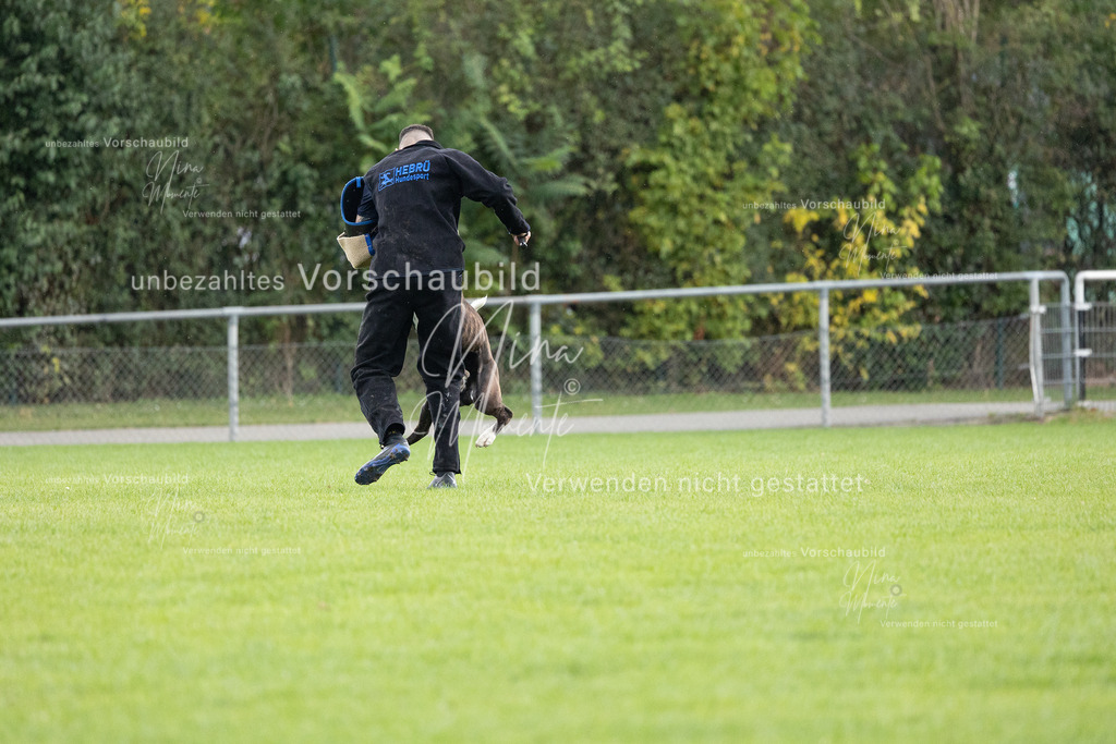 _16A7130 | Einzigartige Fotos von Hunden & Menschen –Actionfotos, Portraits, Vereinsaufnahmen & Paarshootings – authentisch, lebendig & mit Herz.