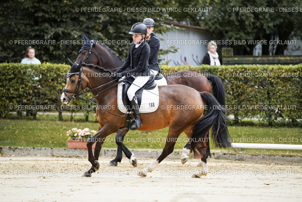 DSC04766 | Pferdegrafie