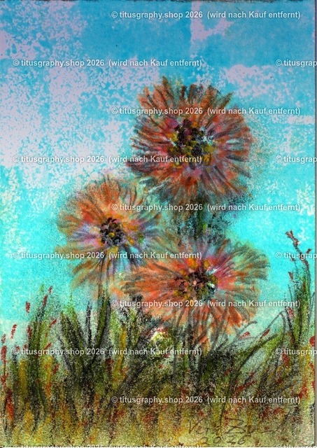 Asterngruß | Zeichnung von Vera Zschecked exclusiv auf titusgraphy.eu - Realisiert mit Pictrs.com