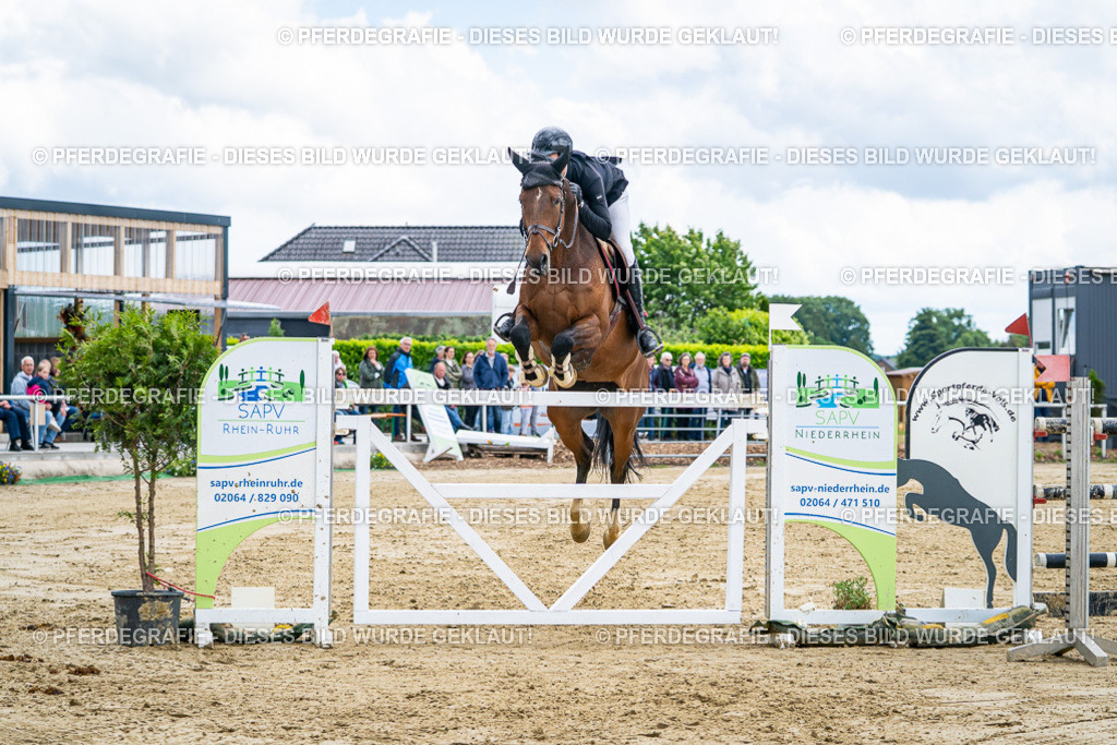 DSC06075 | Pferdegrafie